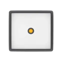 Vue alternative de Tapadera de Cristal Castey Vulcano Para Cacerola de Horno con Aro y Pomo de Silicona