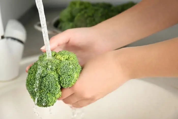 Manos lavando ramilletes de brócoli bajo el agua antes de cocinar brócoli con bechamel